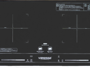 BẾP ÂM ĐIỆN TỪ ĐÔI VS-86JP